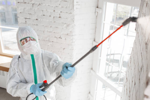 Best Forensic Mold Investigation  in Brackenridge, PA