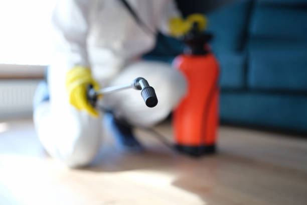 Reliable Brackenridge, PA Mold Removal Solutions